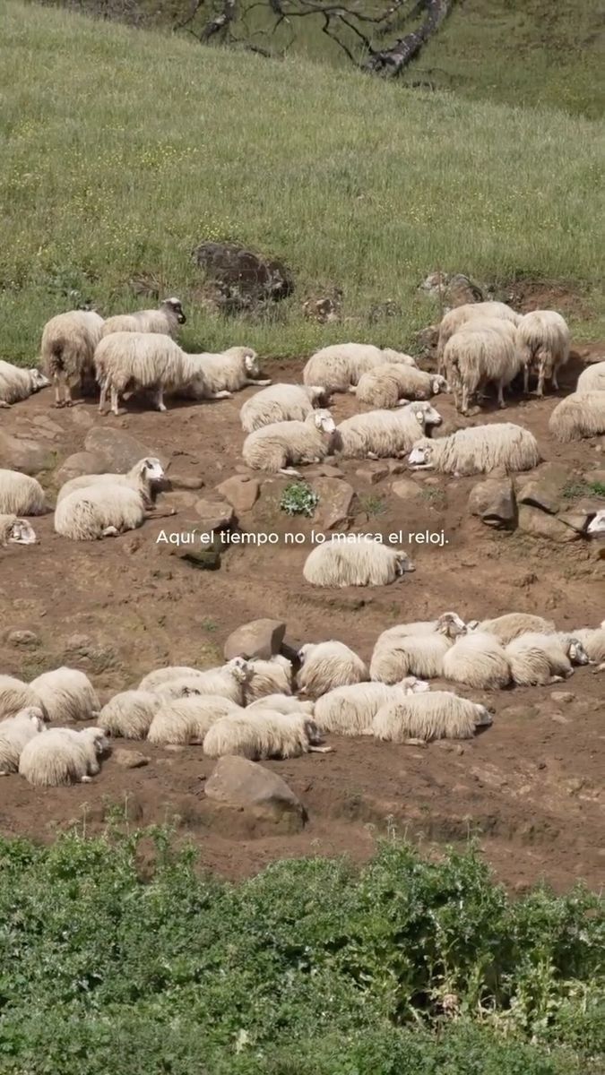 Entre Cortijos Rural Race