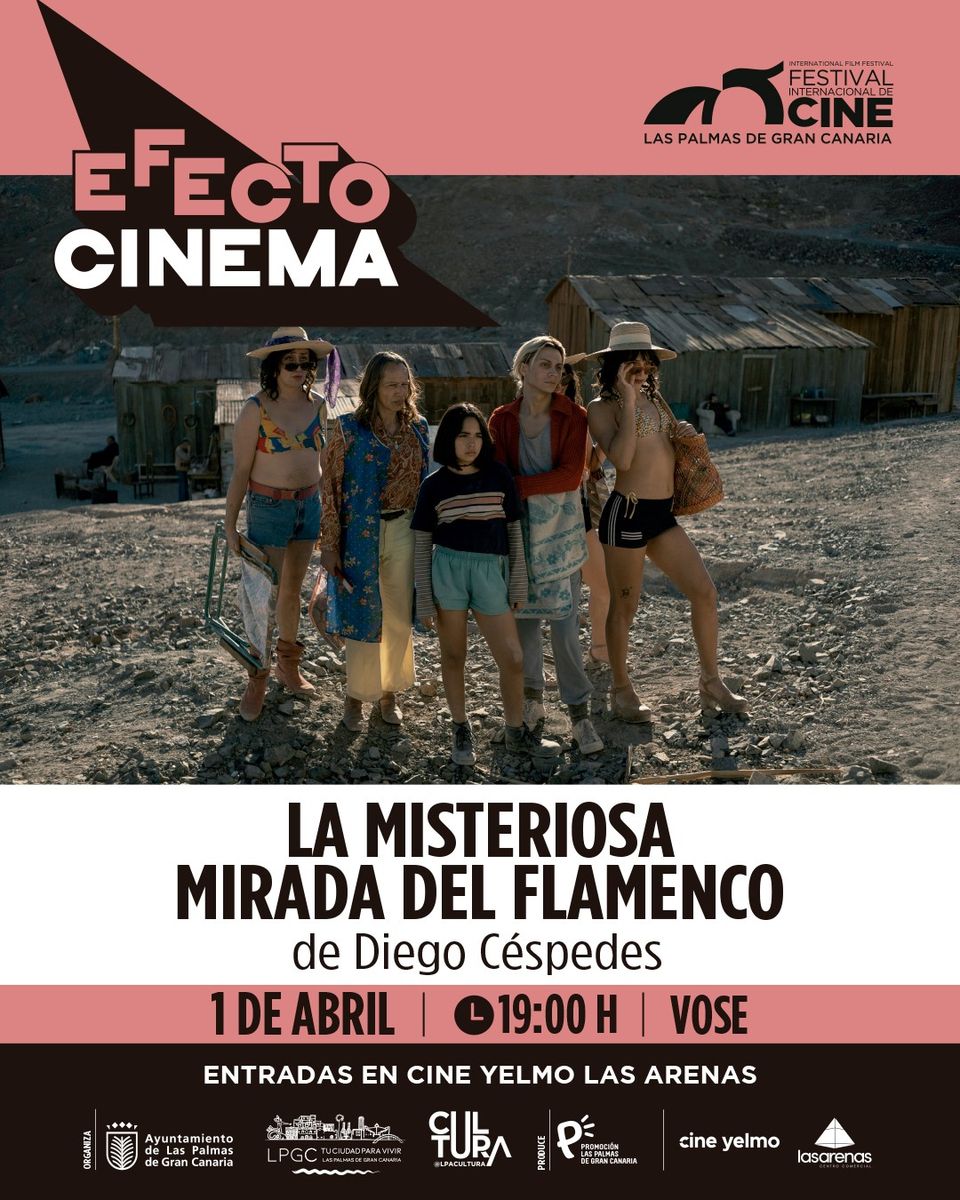 The Mysterious Gaze of the Flamingo