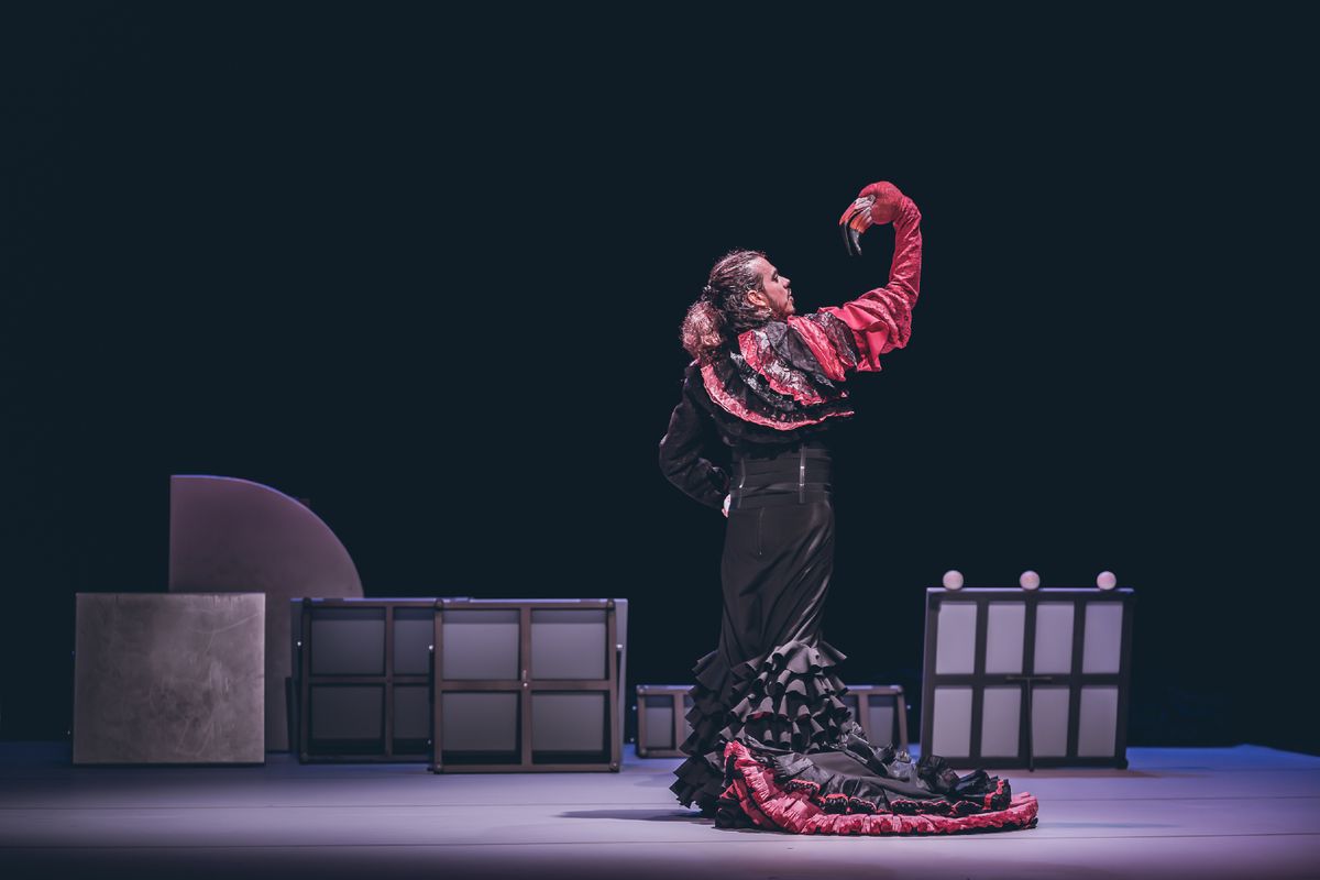 Empaque – Chicharrón Circo Flamenco