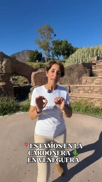 Veneguera Viva 2026 – Encuentro Veneguera