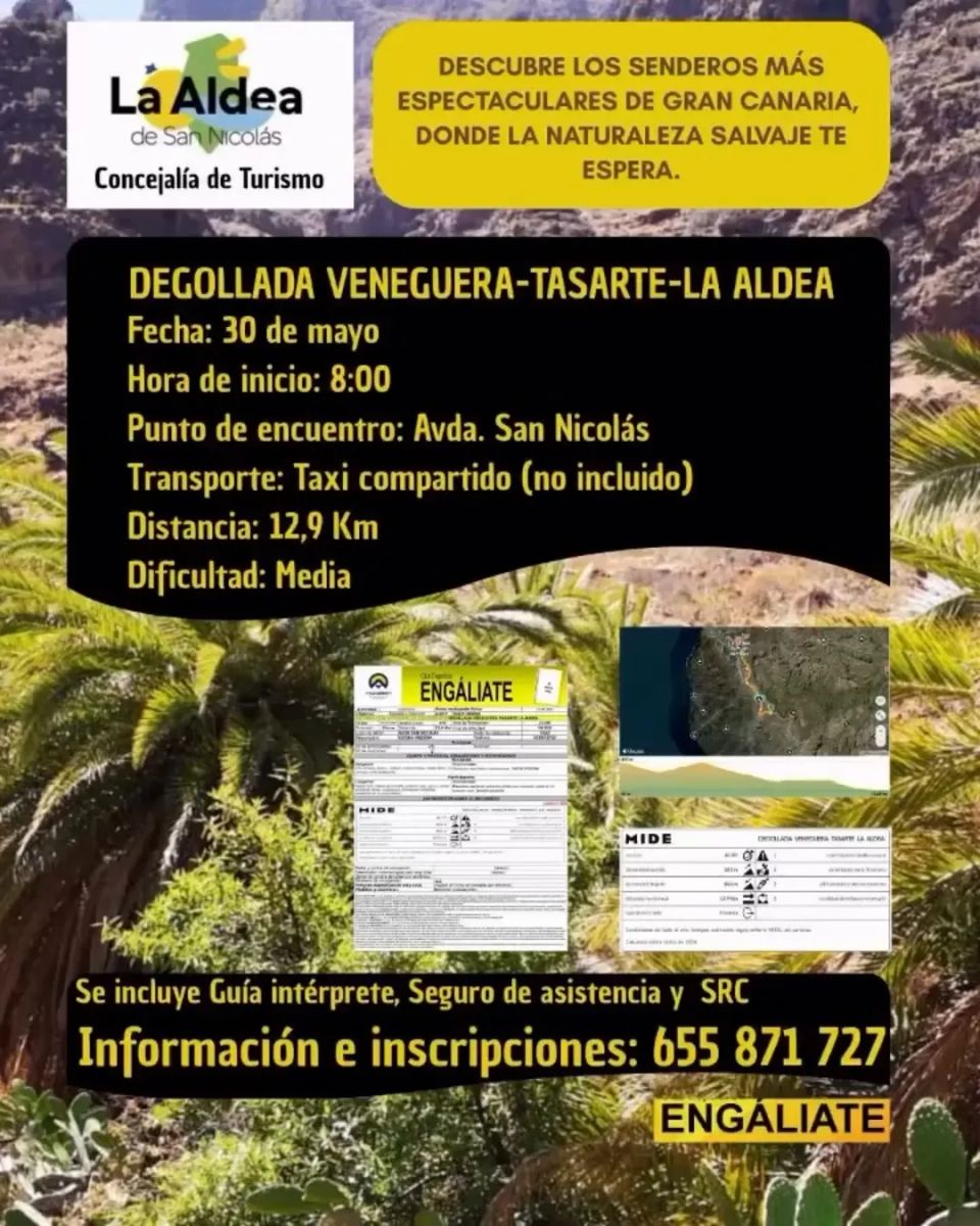 Hiking Route Degollada Veneguera – Tasarte – La Aldea