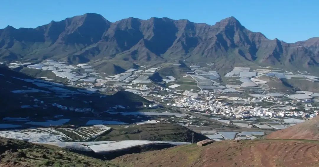 Family Activities and Bajada de La Rama – Tasartico