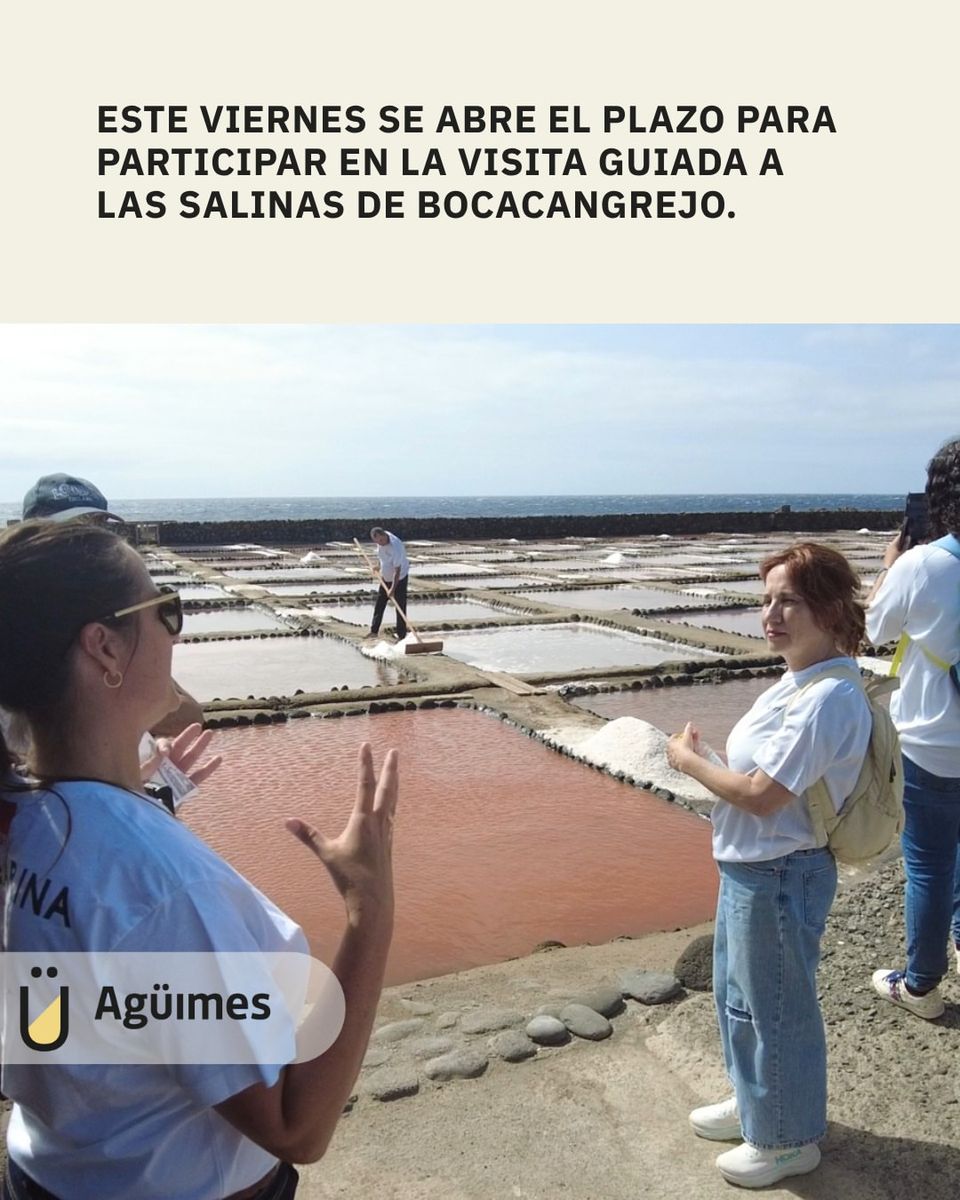 Guided Environmental Tour of Salinas de Bocacangrejo