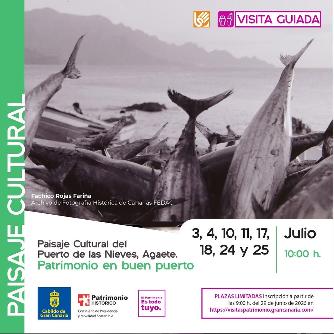 Guided Cultural Tour: Puerto de las Nieves Landscape