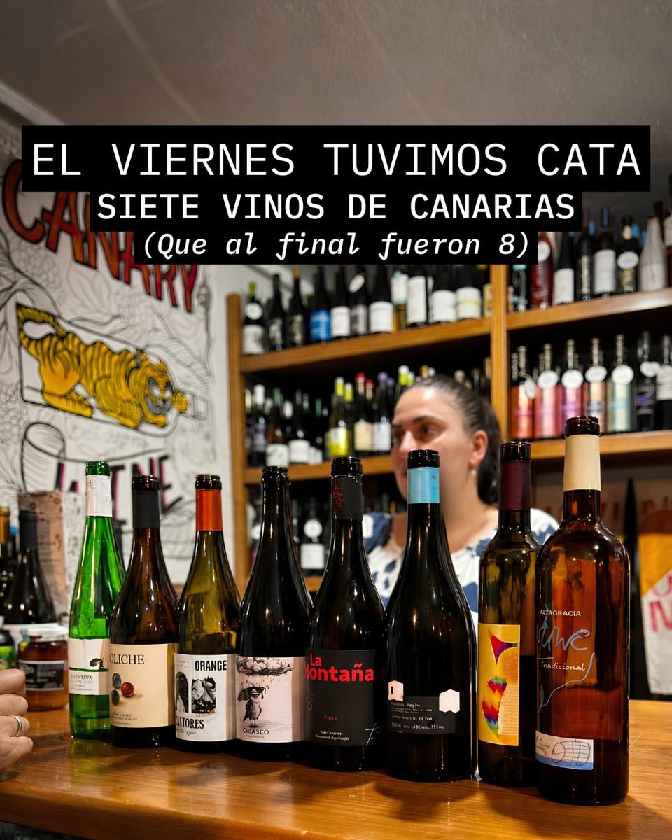 Wine and Cheese Tasting: 5 Wines & 5 Cheeses of Gran Canaria