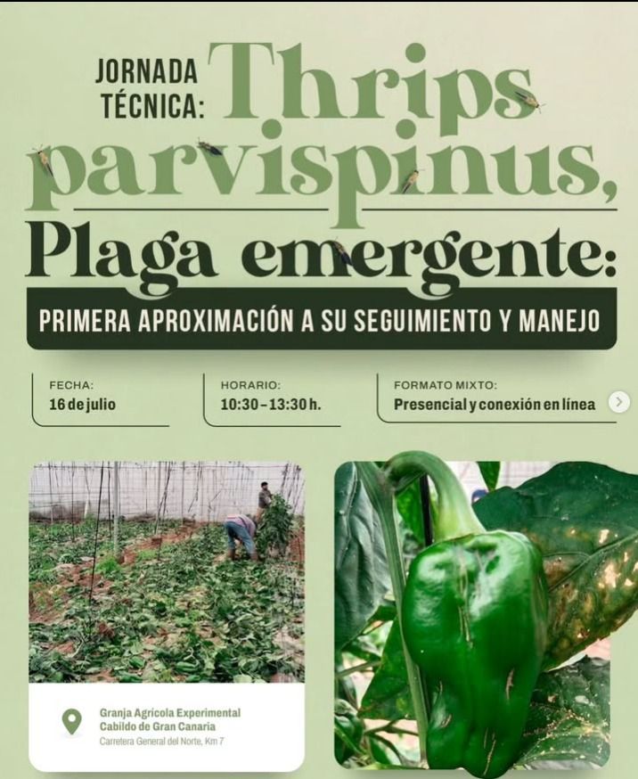 Technical Workshop: Thrips parvispinus, Emerging Pest