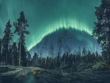 "Light in the Darkness" Arctic Photography Exhibition