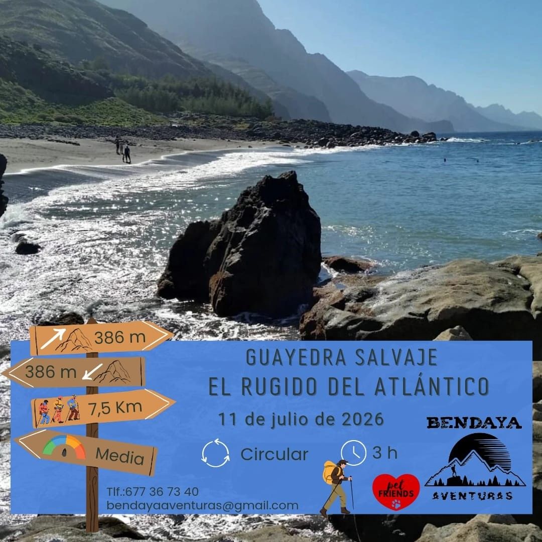 Wild Guayedra: The Roar of the Atlantic
