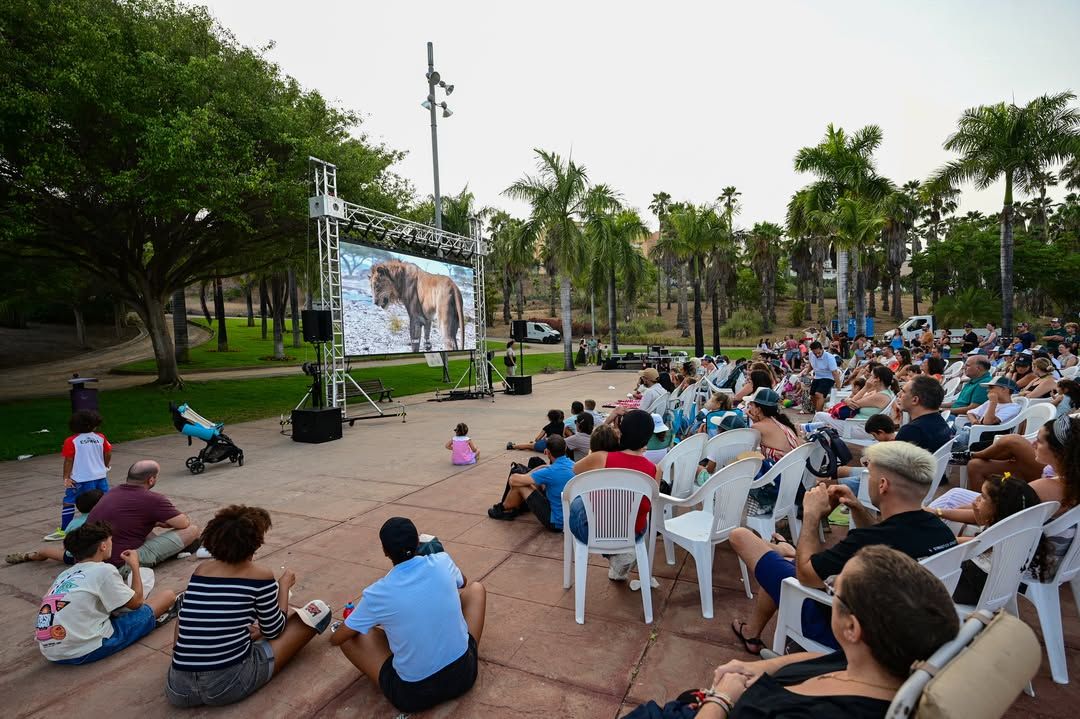 Vamos de cine – Cine al aire libre: Coco y Bohemian Rhapsody