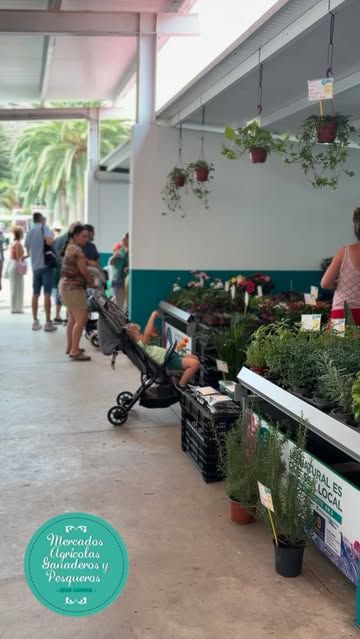 Gran Canaria Farmers' Market in Gáldar