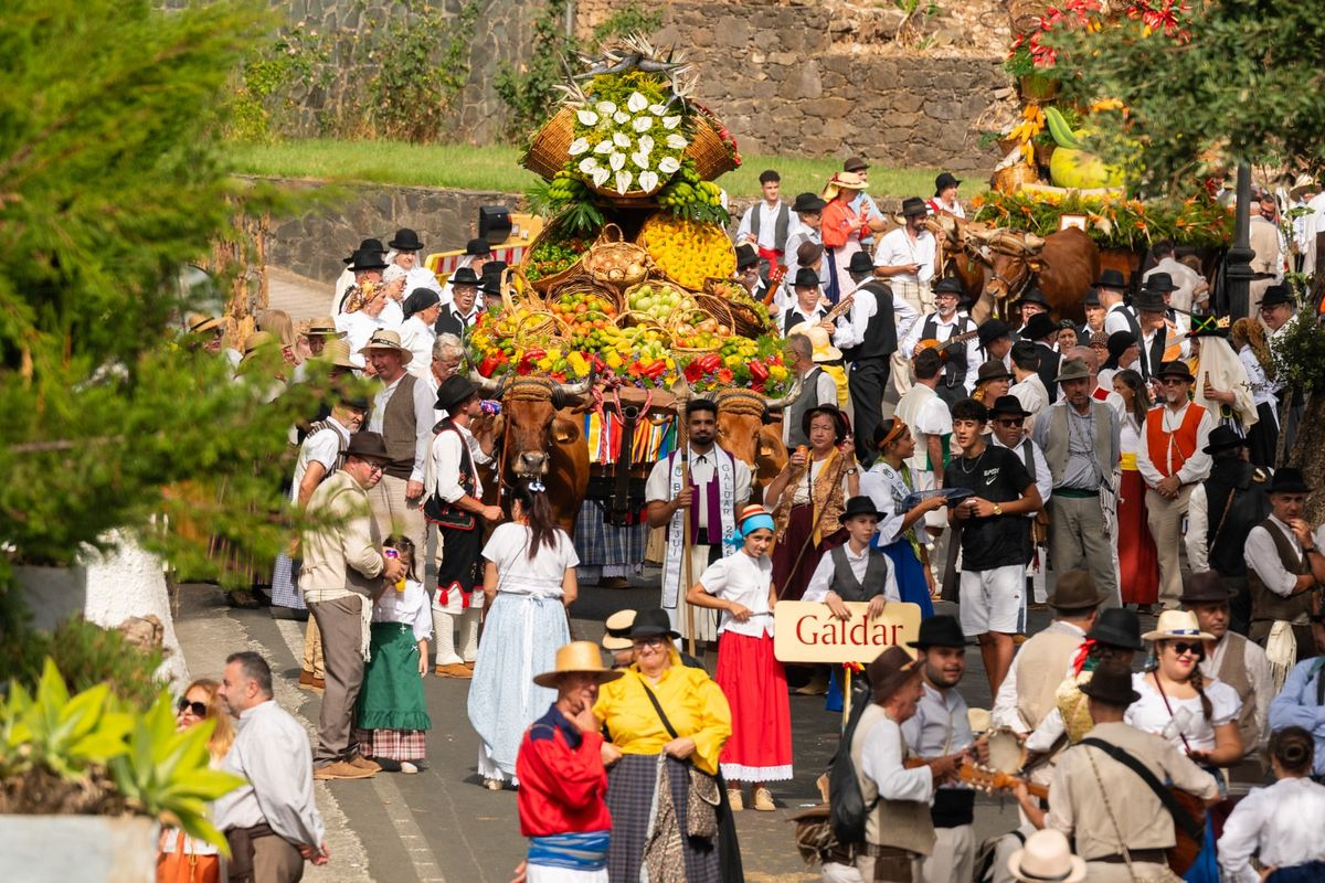 Carreta de Gáldar en la Romería-Ofrenda a la Virgen del Pino