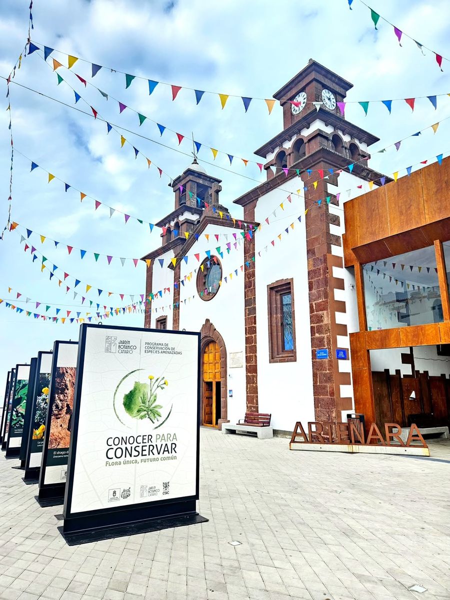 Conocer para Conservar: Threatened Flora of Gran Canaria Exhibition