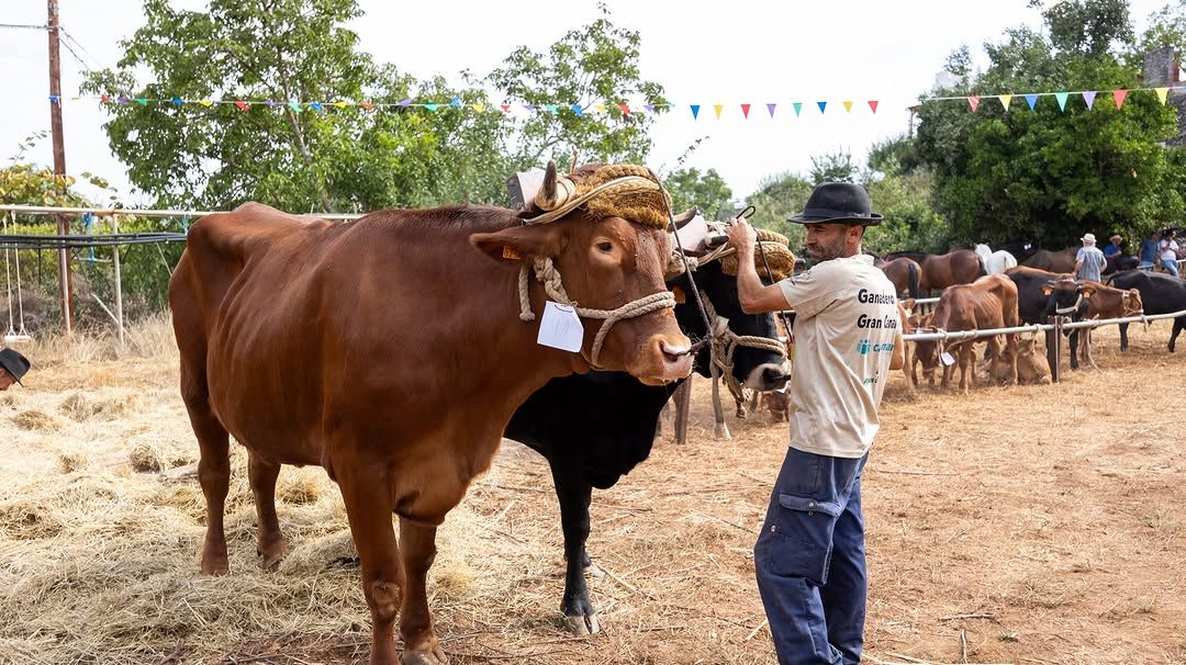 Main Day of the Fiestas de Santa Rosa de Lima in Lanzarote (Valleseco)