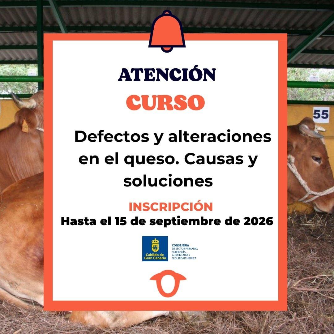 Training: Defects and Alterations in Cheese