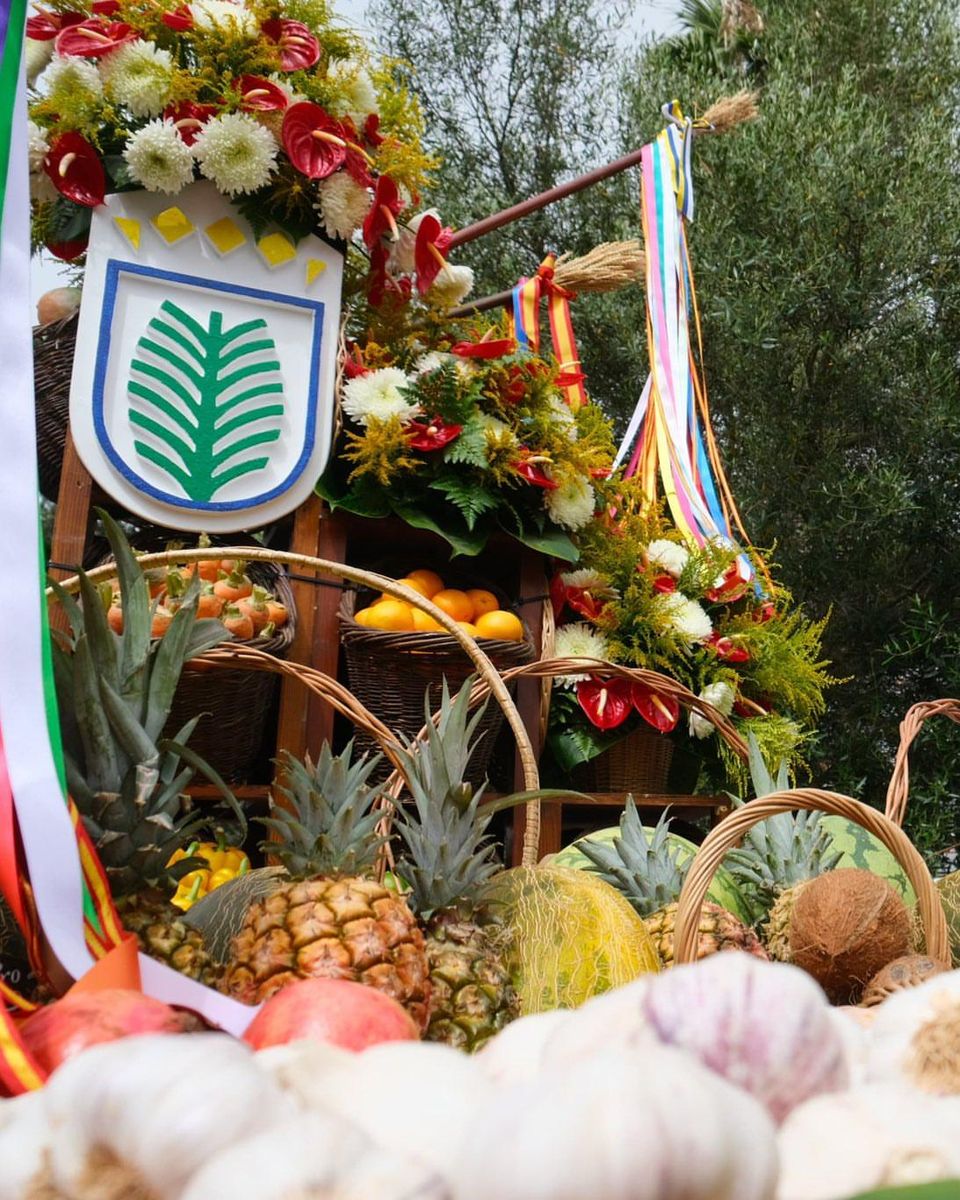 Romería-Ofrenda del Pino 2026 Participation by Las Palmas de Gran Canaria