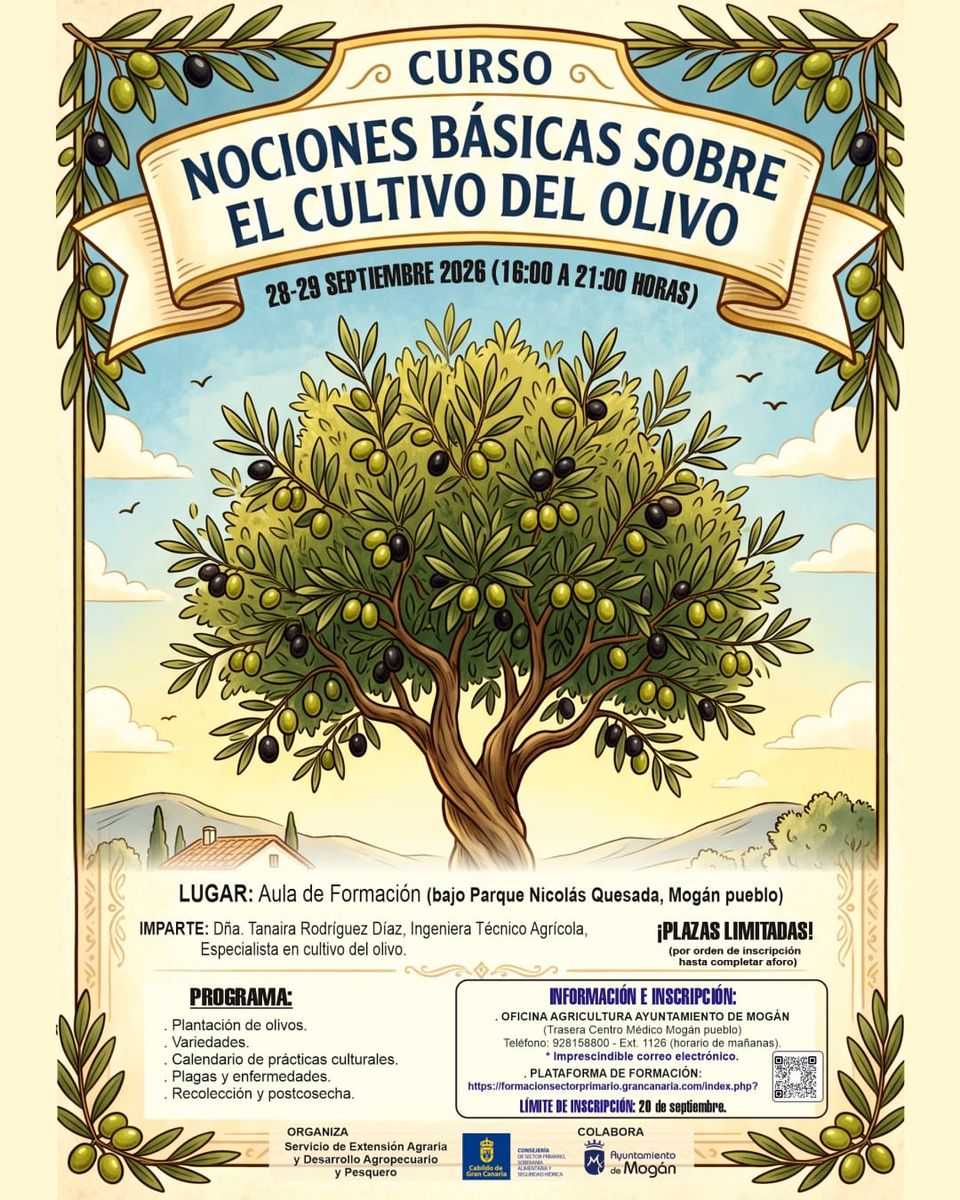 Basic Olive Cultivation In‑Person Course