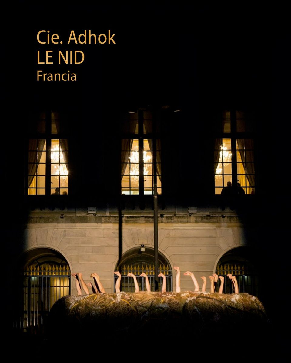 Le nid - Visual Poetry and Dance Performance