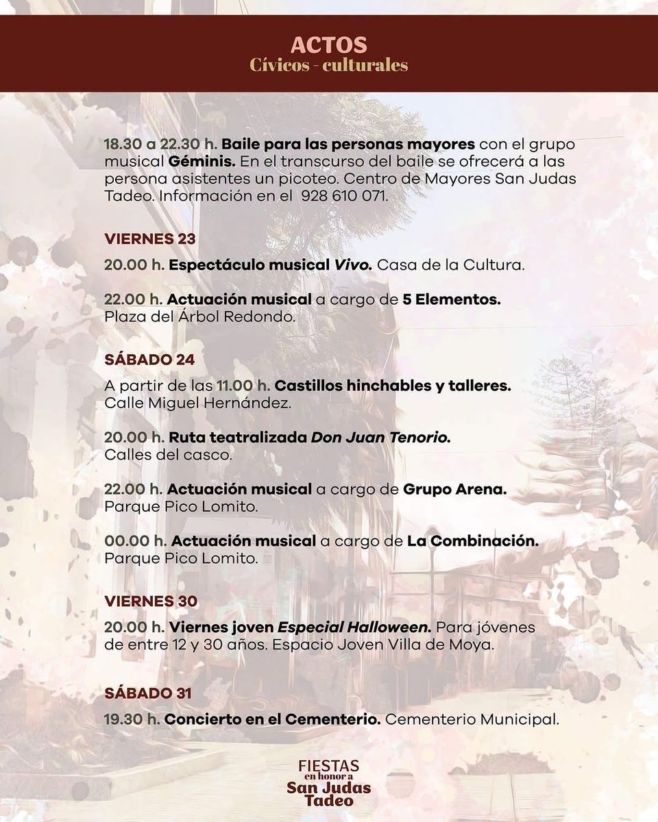 Castillos hinchables y talleres