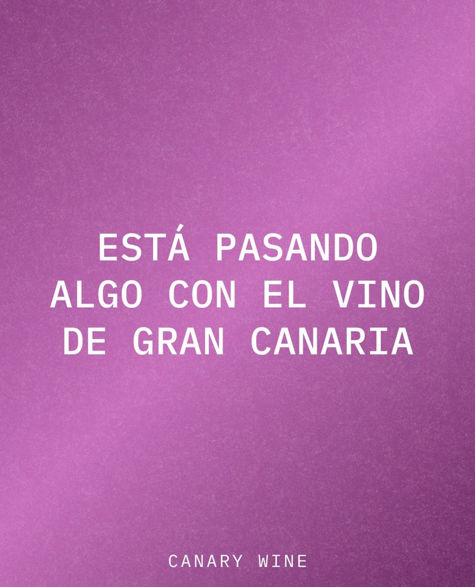 Gran Canaria Wine Night: Seven Wines, One Island