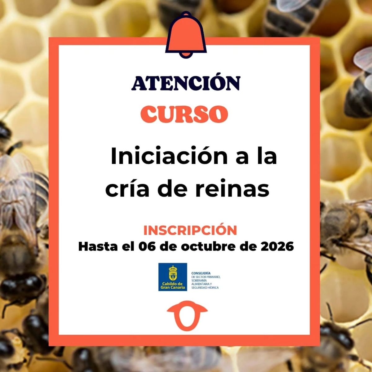 Queen Rearing Initiation Course