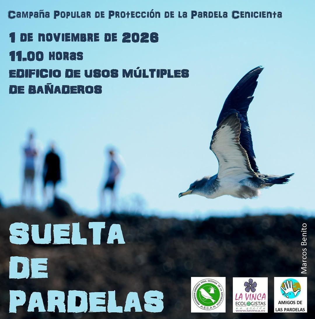Suelta de Pardelas en Bañaderos 2026