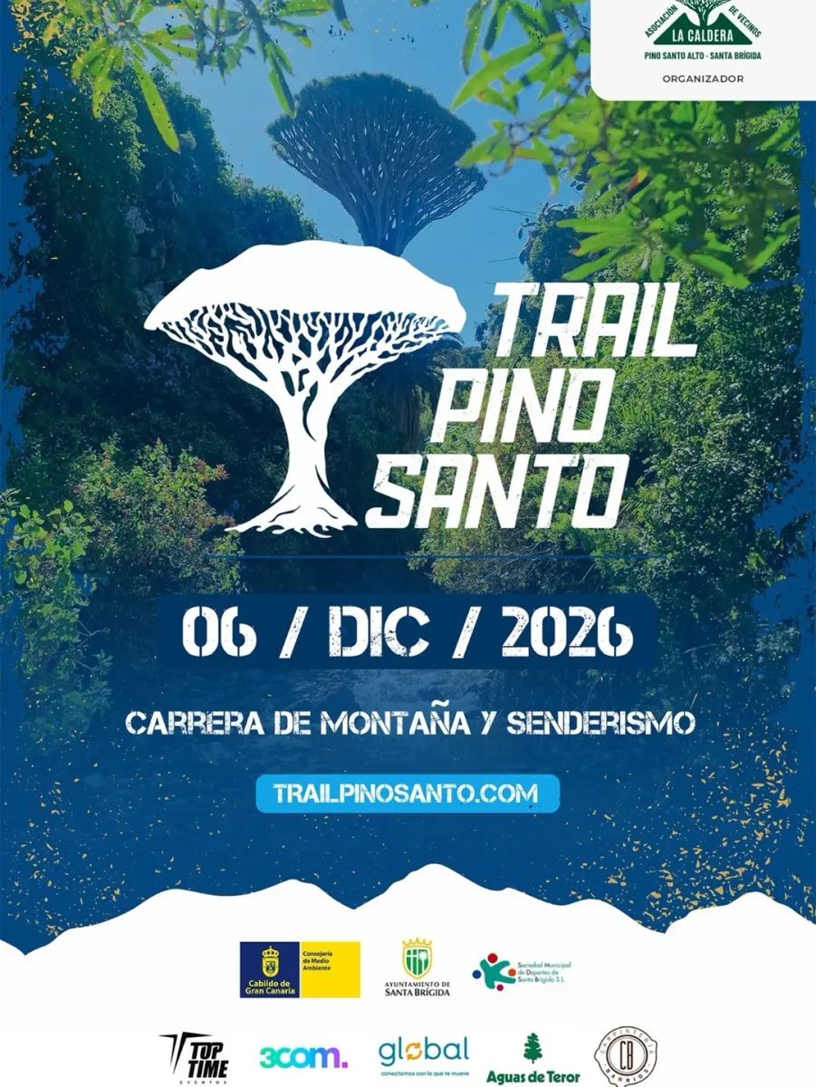 IV Trail Pino Santo Alto