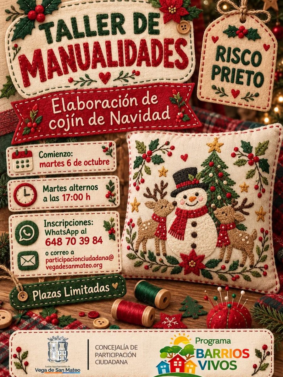 Christmas Cushion Crafts Workshop in Risco Prieto