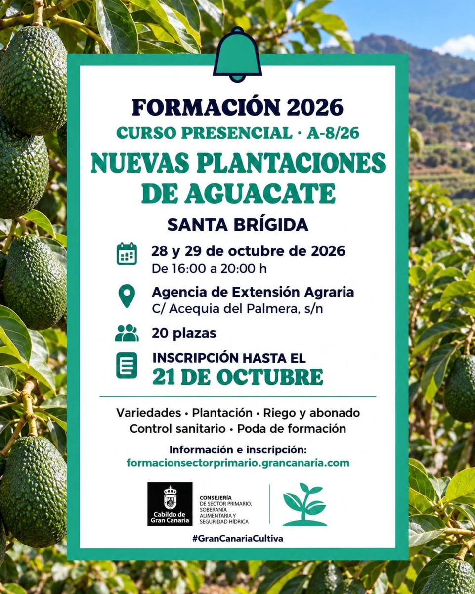 Formación: Nuevas plantaciones de aguacate en Santa Brígida
