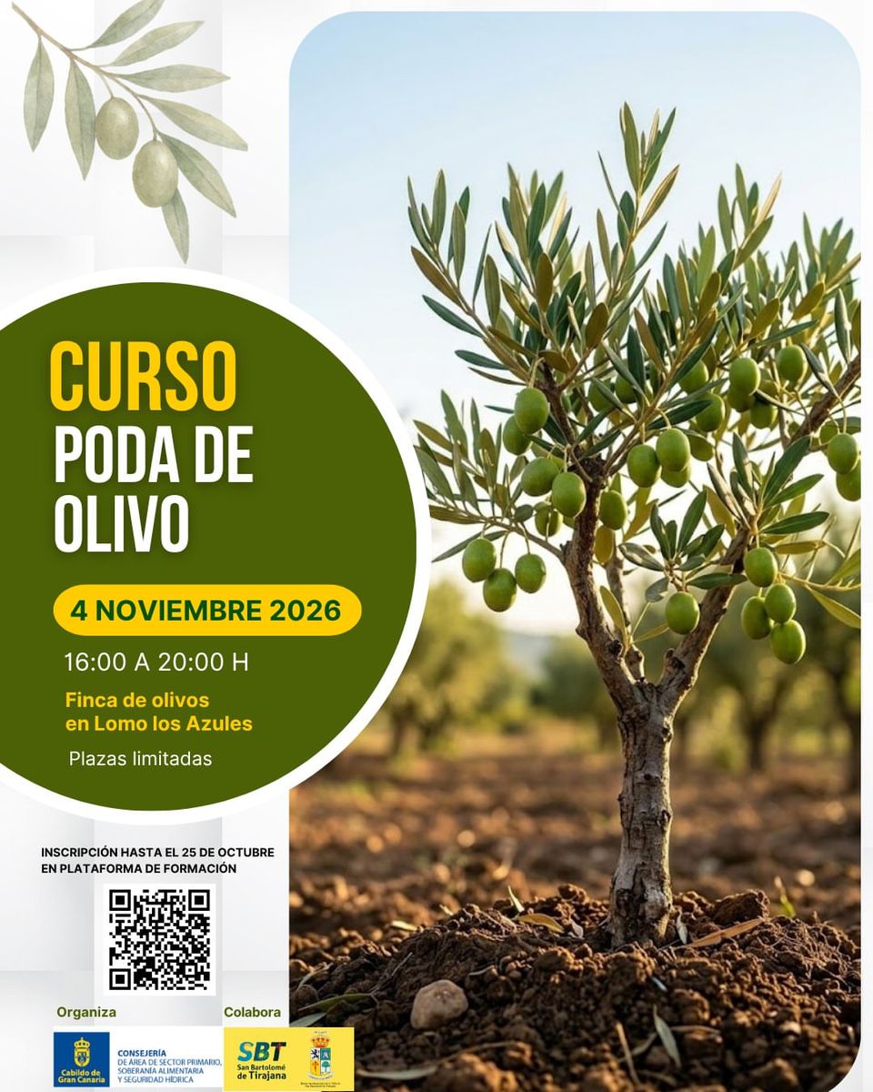 Curso de Poda de Olivo